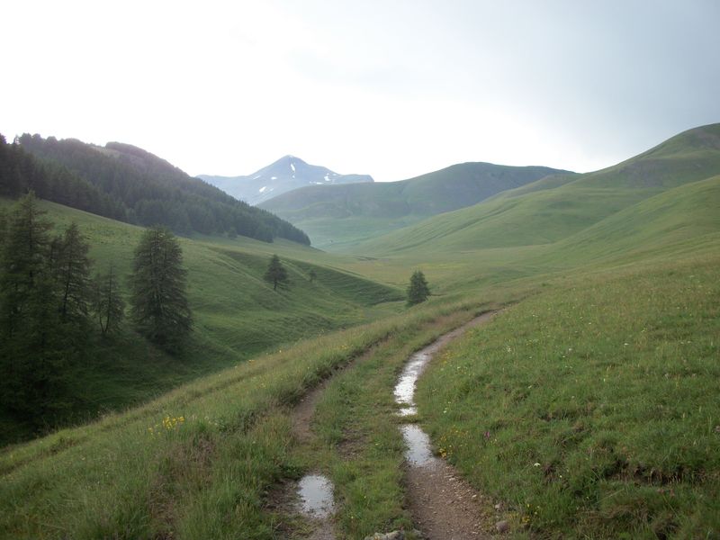 Plateau de Longon