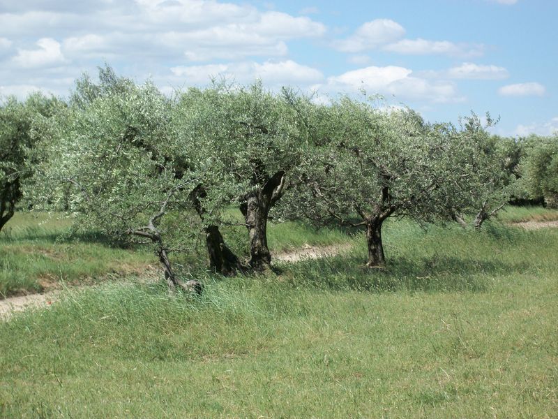 image3_4