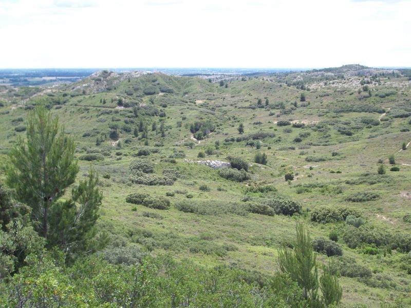 image4_4