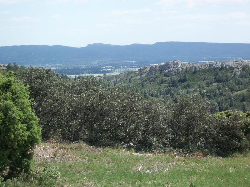 image6_4